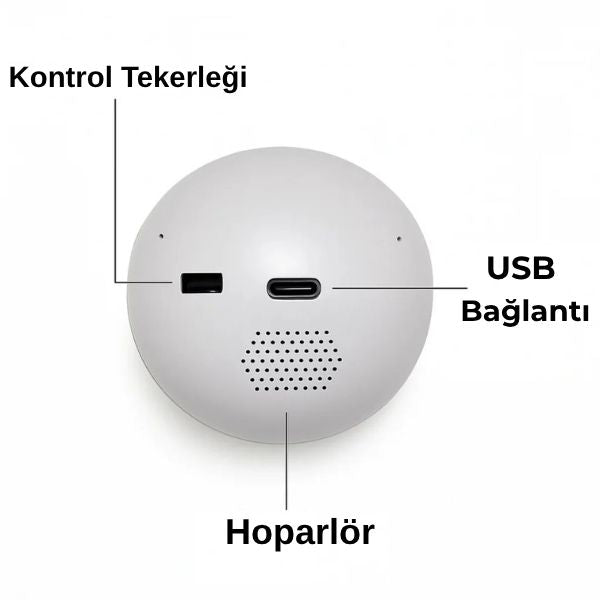 Anı Küresi