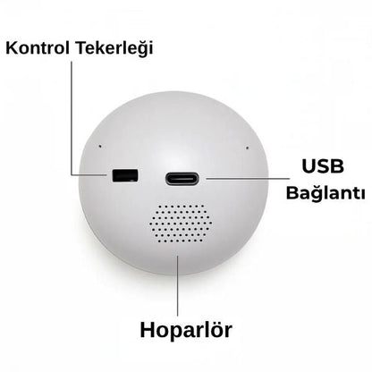 Anı Küresi